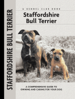 Staffordshire Bull Terrier