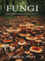 Fungi: The Hidden Kingdom Beneath Our Feet