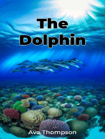 The Dolphin