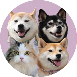 カアンサラルナ