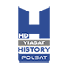 Polsat Viasat History