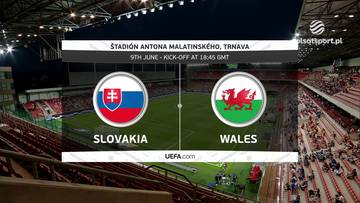 Słowacja - Walia. Skrót meczu