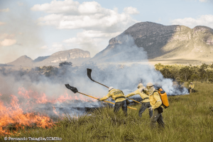 Brigadistas manejam fogo para prevenção de incêndios