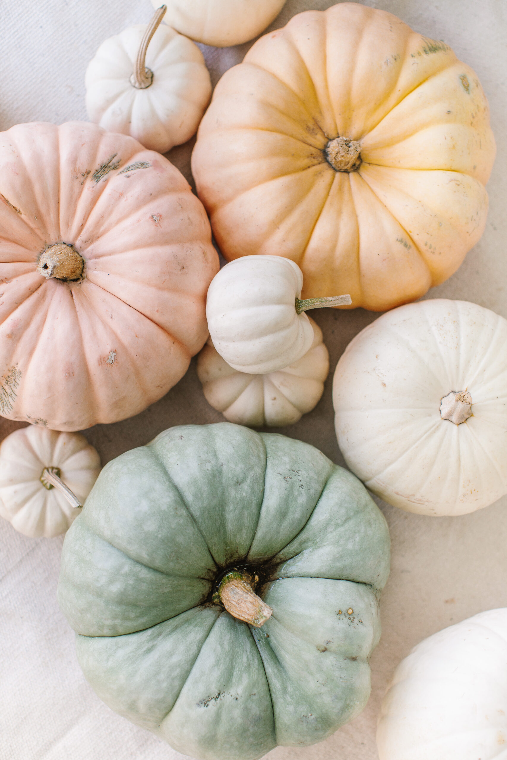 Fall Pumpkins