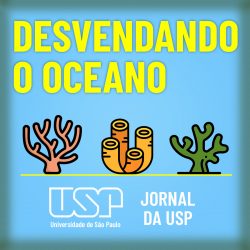 subcanal_desvendando-oceano