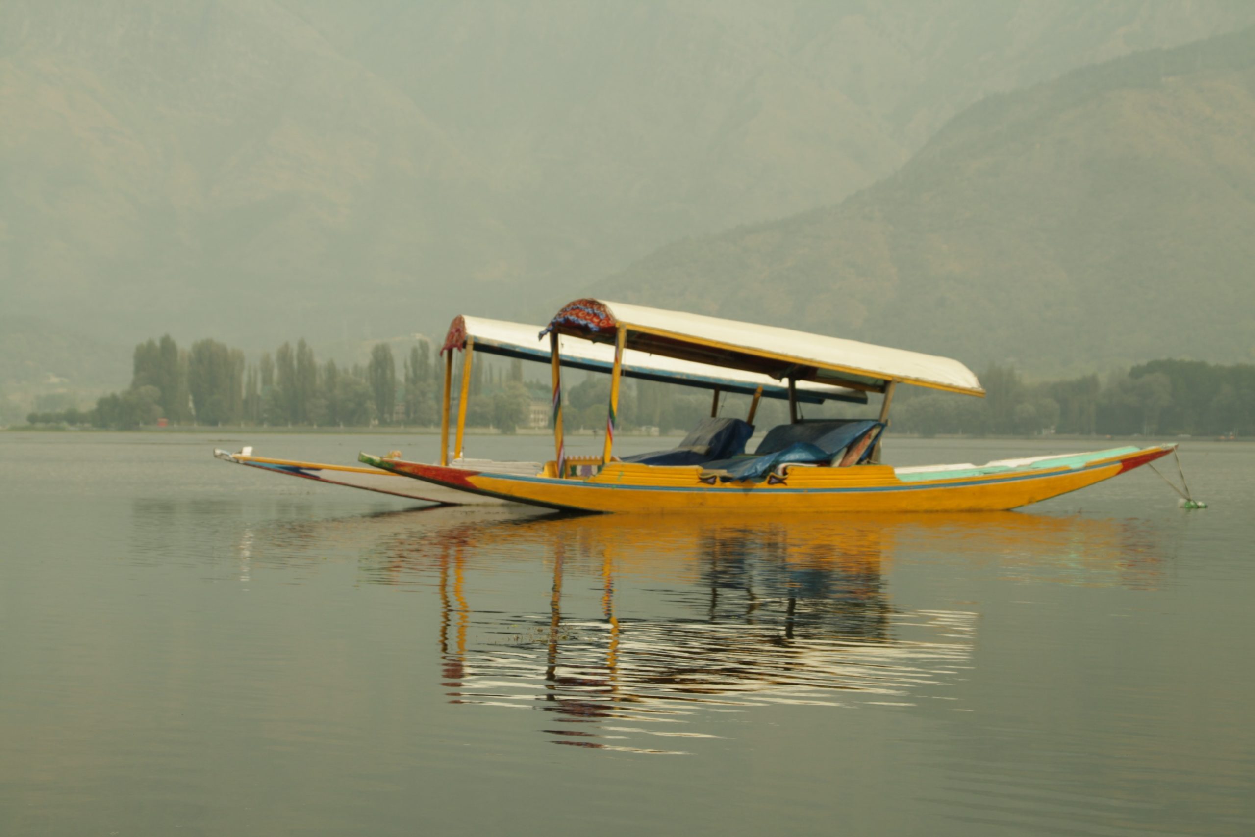 Falling Through the Cracks: Kashmir’s Resistance Against Settler Colonialism and the Limits of International Law