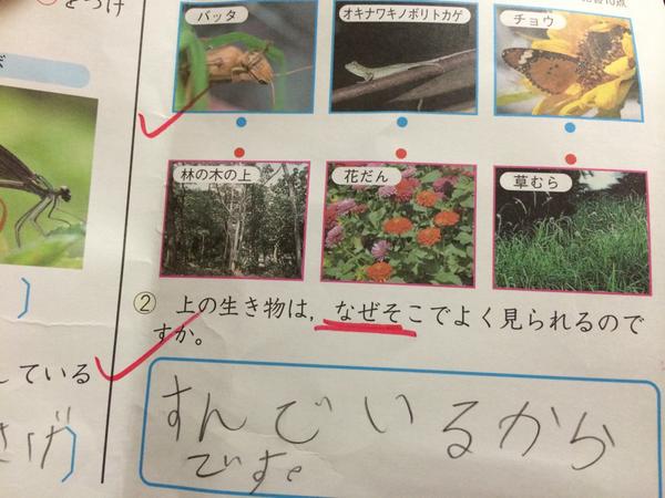 【爆笑】面白すぎる学校のテストの珍解答集 【面白い回答】