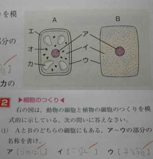 【爆笑】面白すぎる学校のテストの珍解答集 【面白い回答】