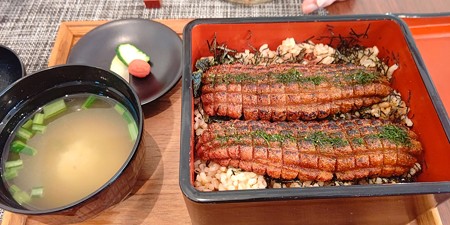 野菜だけで作ったうな重