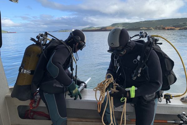 Plongeurs scaphandriers en train de dépolluer la grande rade de Nouméa, dans laquelle ils doivent repérer d'anciennes munitions, en juillet 2022.