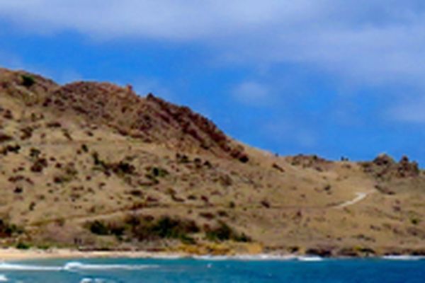 Vue du chevauchement de la pointe Toiny. Cet affleurement clé a permis de dater une phase compressive régionale, responsable d'une émersion, qui a permis des migrations entre les Grandes Antilles et le nord des Petites Antilles.