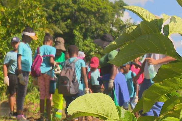 Une manifestation pour faire découvrir le site aux scolaires de la ville à travers plusieurs ateliers.