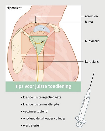 afbeelding juiste toediening vaccinatie in schouder