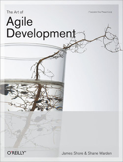 The Art of Agile Development