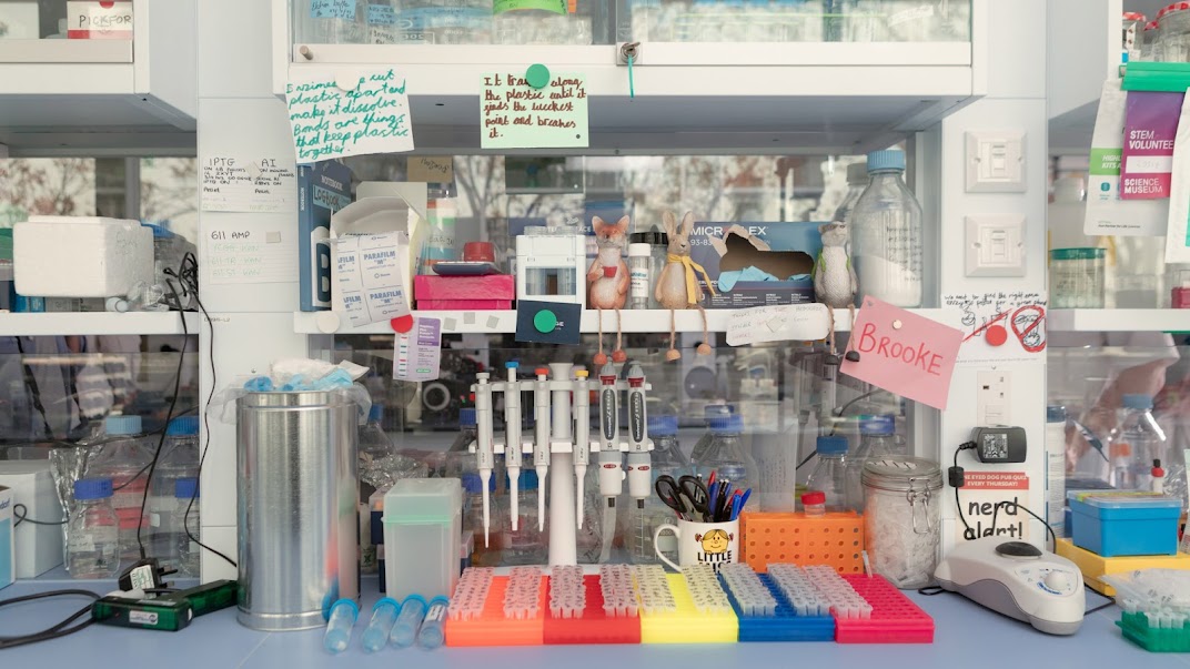 A photograph taken inside a laboratory. What's visible is an array of scientific equipment, Post-it notes –  and two toy animals (a fox and a rabbit) sitting on a shelf.