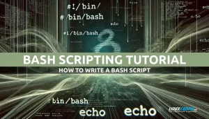 Bash Scripting Tutorial: How to Write a Bash Script