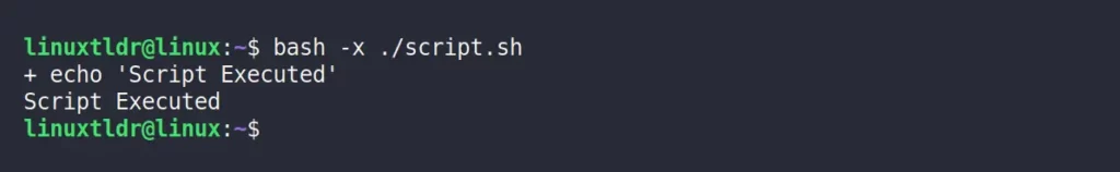 Running script using bash command but first printing each command from script before executing