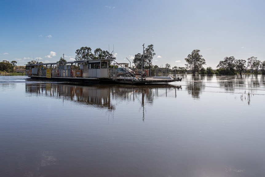 A ferry on a wide expanse of water with its cables pulled tight, out of the water, trees in the background.