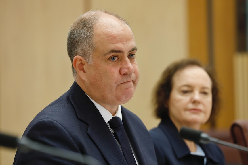 David Anderson answers questions while facing a senate hearing