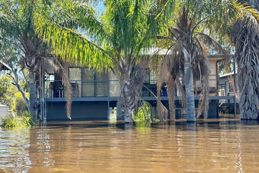 A flooded house with palm trees in front.