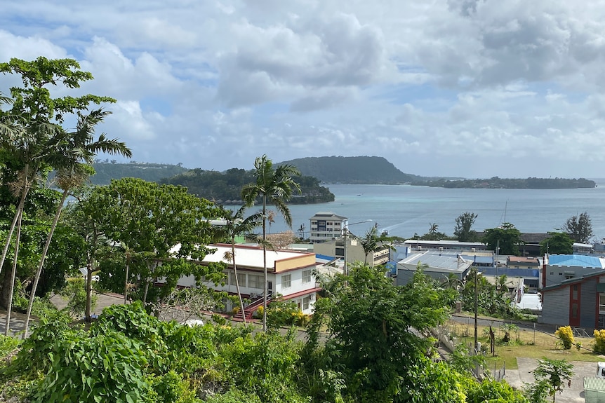 A palm tree and other green foliage with buildings, a bay and headland in the background.