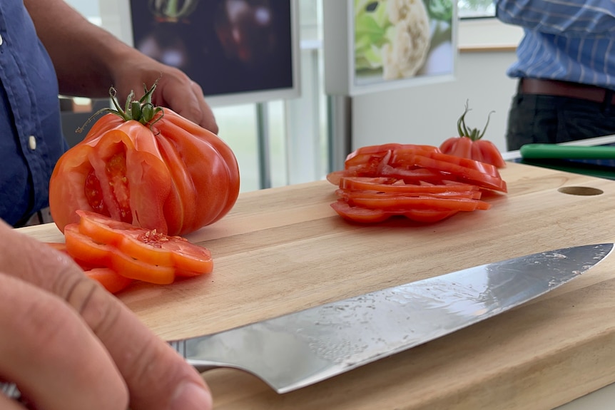 A large oddly shaped tomato has had a few slices cut from it, it's on a wooden board next to a knife 