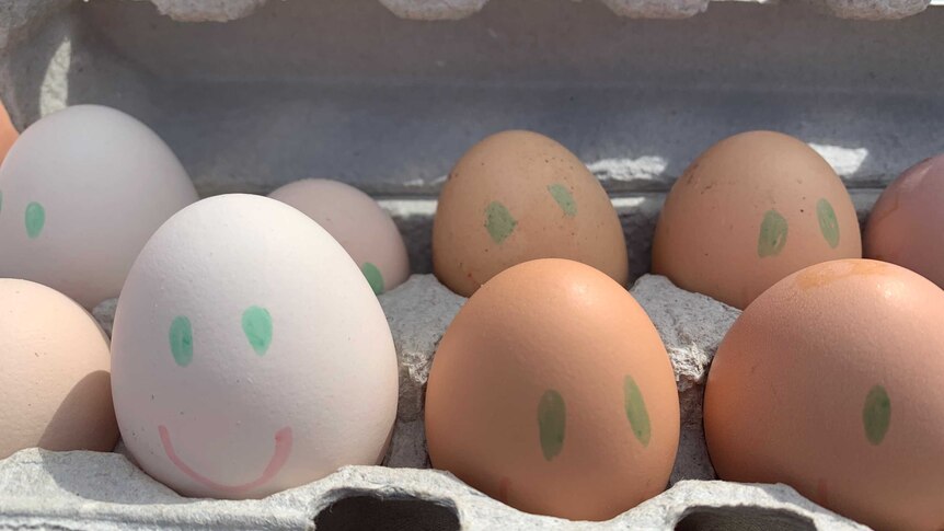 Close up of carton of eggs decorated with smiley faces