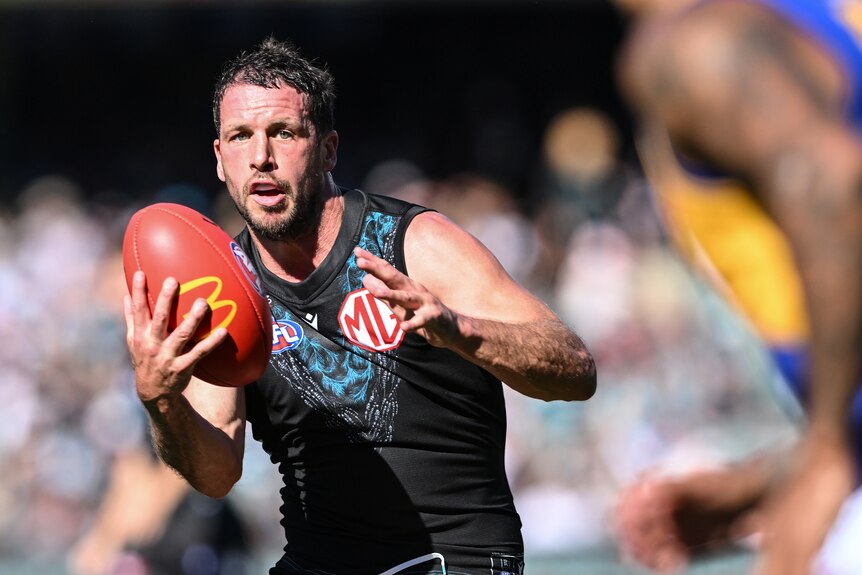 A Port Adelaide AFL player scans the ground in front of him as he holds the ball in play during a game. 