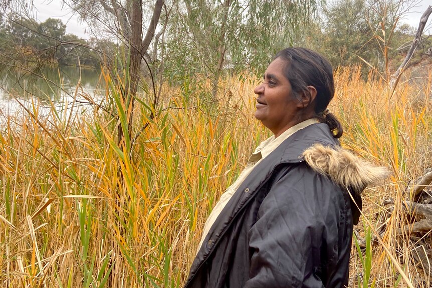 An indigenous woman stands side on looking at the Murray River with tall yellow reeds separating her from the water