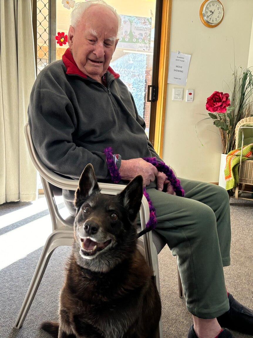 an elderly man sitting on a chair looking at an older dog sitting next to him