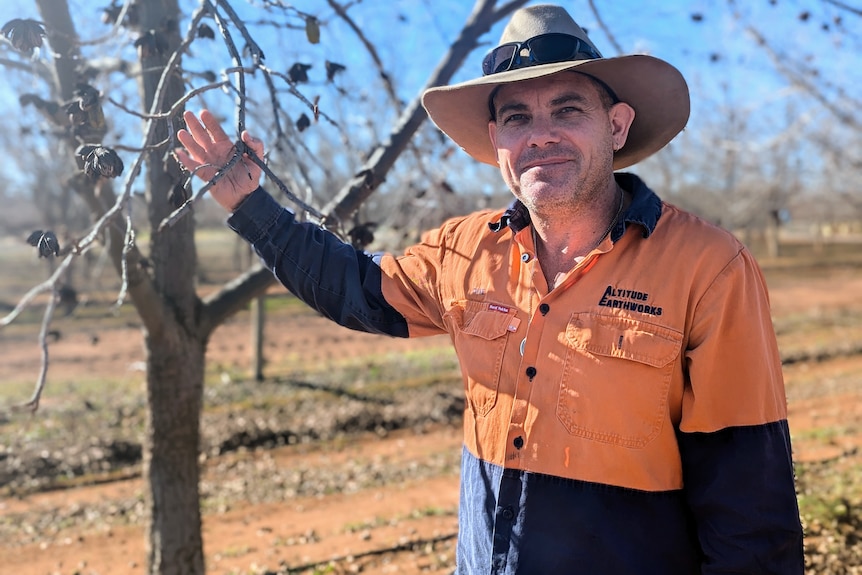 A fair-skinned man, Dave, in an orange hi-vis shirt and akubra smiles and leans on a pecan tree.