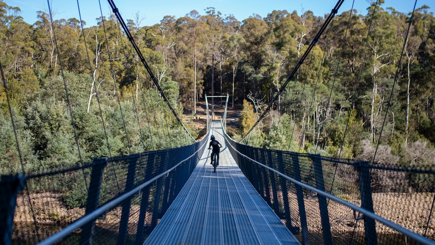 A bicycle rider rides away from the camera across a suspension bridge over a river. 