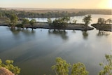 A wide body of water with land and trees in the middle