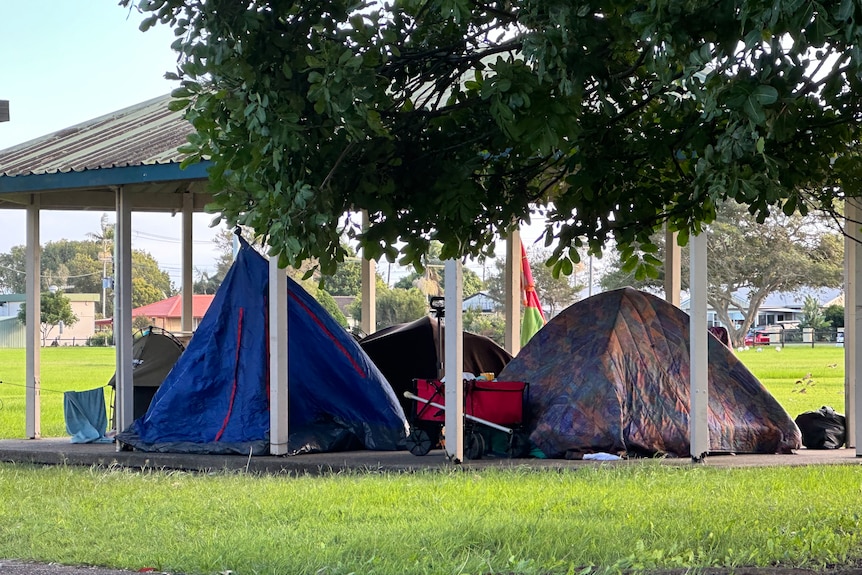 A swag and three tents are pitched under an open-sided sun shelter