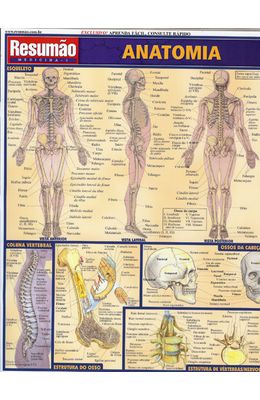 RESUMAO---ANATOMIA