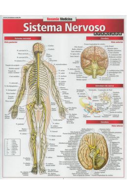 RESUMAO---SISTEMA-NERVOSO-AVANCADO
