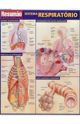 RESUMAO---SISTEMA-RESPIRATORIO