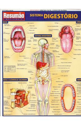 RESUMAO---SISTEMA-DIGESTORIO