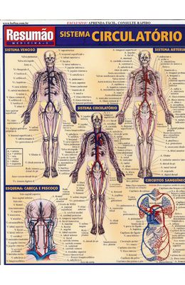 RESUMAO---SISTEMA-CIRCULATORIO