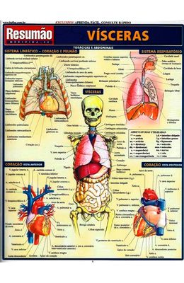 RESUMAO---VISCERAS