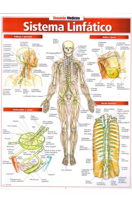 RESUM�O---SISTEMA-LINF�TICO