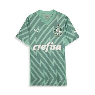 Camisa-Goleiro-II-Palmeiras-Puma-24-25---Torcedor