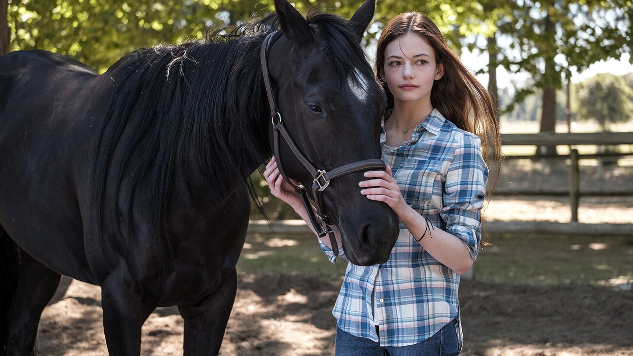 A girl petting a horse from the movie Black Beauty.