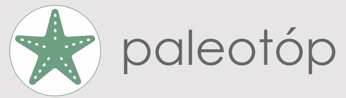 paleotop.JPG