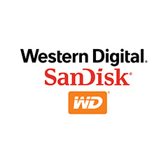 Western Digital / SanDiskの人気商品がお買い得