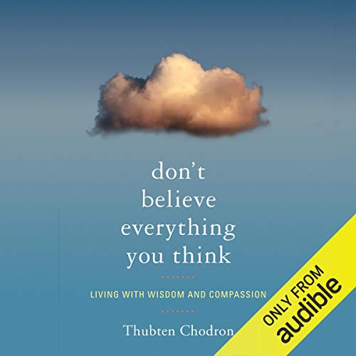 Don't Believe Everything You Think cover art