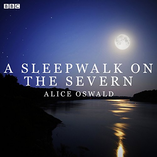 A Sleepwalk on the Severn cover art