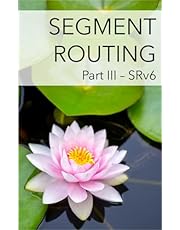 Segment Routing Part III: SRv6 (English Edition)