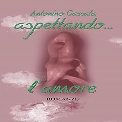 Aspettando l'amore copertina