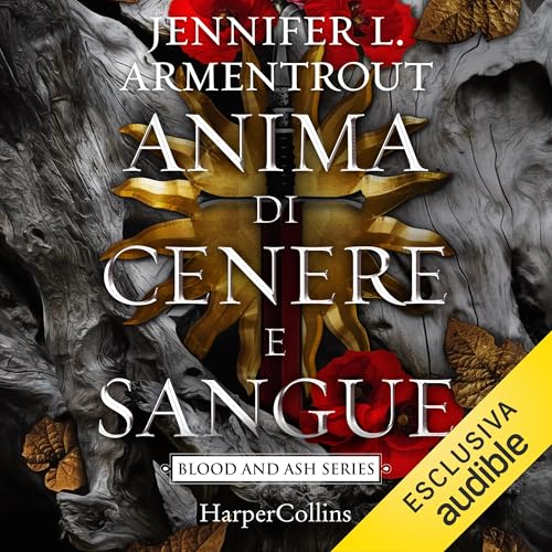 Anima di cenere e sangue copertina